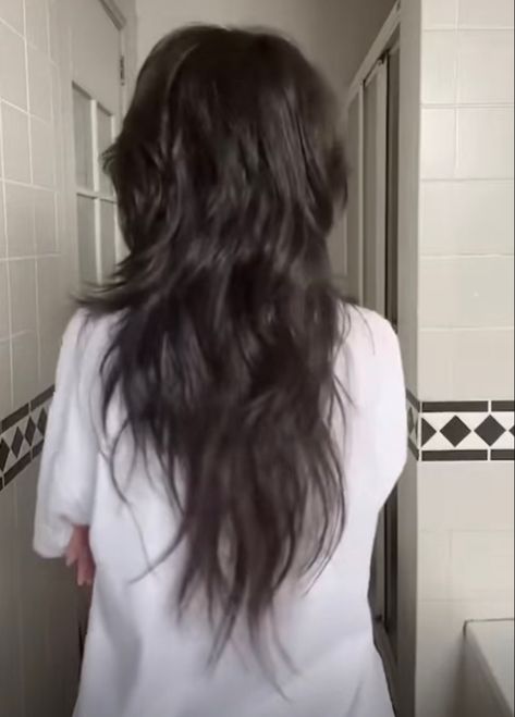 Really Short Layers On Long Hair, Tapered Ends Haircut Long, Messy Haircut Long Hair, Shaggy Layered Haircuts Long Wavy, Wolfcut Hair Long No Bangs, Messy Haircuts Women Long, Wolfcut Hair Long Black, Razor Long Haircut, Long Shag Haircut Back View