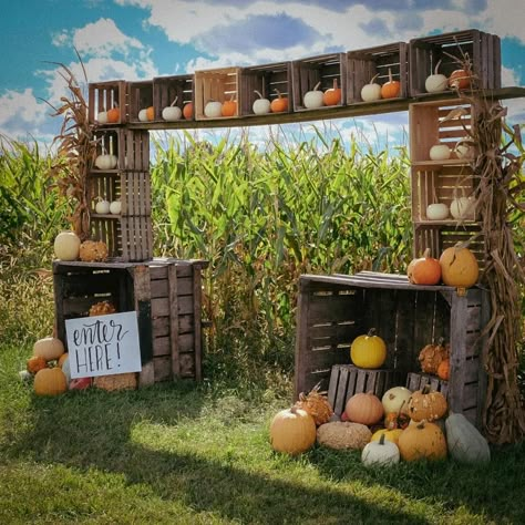 Corn Festival Decor, Farm Photo Op Board, Corn Maze Halloween Decorations, Fall Pumpkin Displays Outside, Pumpkin Festival Decorations, Pumpkin Patch Display Ideas, Diy Corn Maze, Fall Festival Decorations Outdoor, Fall Farm Activities