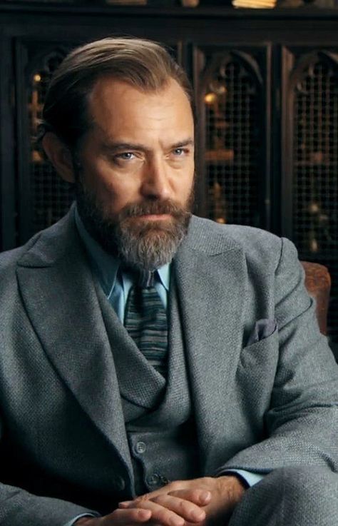 Jude Law Dumbledore, Albus Dumbledore Aesthetic, Fantastic Beasts Cast, Fantastic Beasts Series, Fantasic Beasts, Suit Inspiration, Welcome To Hogwarts, Gellert Grindelwald, Men's Facial Hair