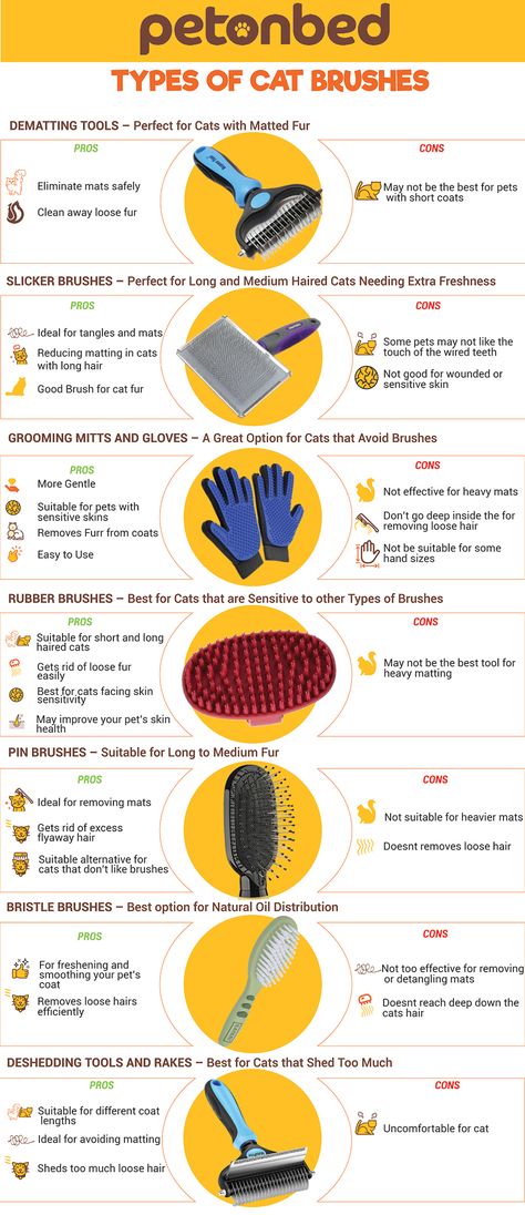 As mentioned abundantly in this piece, there are different types of cat brushes available in the market. Let us discuss some common brushes pet owners tend to rely on for grooming their pets. #cats #catgrooming #catproducts Jobs With Animals, Different Types Of Cats, Cat Area, Cat Grooming Tools, Best Cat Food, Cat Brush, Working Table, Cat Essentials, Types Of Cats