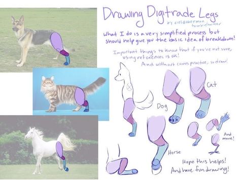 Cat Drawing Tutorial, Cat Anatomy, Body Reference Drawing, Caught On Camera, Man Down, Poses References, Figure Drawing Reference, Anatomy Reference, Awkward Moments