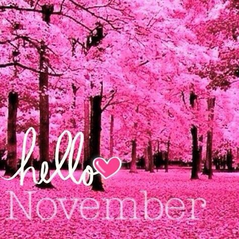 Nov Love <3 November Pictures, November Events, November Images, New Month Quotes, Welcome November, November Quotes, November Wallpaper, November Activities, Sweet November