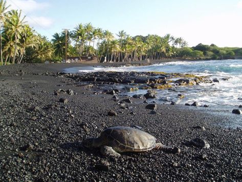 Black Sand Beach Wallpaper, Black Sand Beach Wedding, Maui Black Sand Beach, Punaluu Beach, Black Sand Beach Hawaii, Beach Puerto Rico, Hawaii Ideas, Hawaii The Big Island, Green Sand Beach