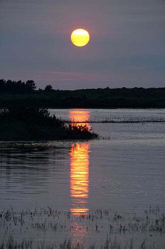 Sunset over Thornham marsh in Norfolk Watercolour Reference, British Beach, Southern Aesthetic, British Beaches, Norfolk Uk, North Norfolk, Norfolk Broads, Painting Landscapes, Easter Cards Handmade