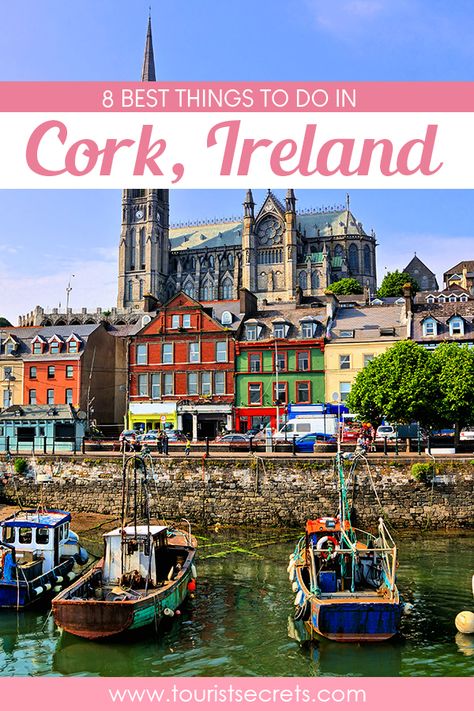 o, while pondering through the various continents to trot around the globe, an inevitable option that you can never let go off your mind is the ever splendid Europe. Nonetheless, a European tour is never complete without the ever talked about Ireland.   #Europe #Ireland #Cork #TouristSecrets #Travel #Traveller #Destination #TouristSpot #TravelTips What To Do In Cork Ireland, Cork County Ireland, Things To Do In Cork Ireland, Cork Ireland Things To Do In, Authentic Irish Food, Sabbatical Ideas, Ireland 2023, Backpacking Ireland, Ireland Hotels