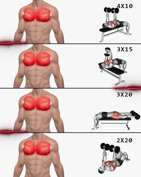 Peck Workouts For Men, Gym Weekly Workout Plan, Workouts For Men, Bodybuilding Workouts Routines, Hardcore Workout, Dumbell Workout, Full Body Workout Routine, Workout Routine For Men, Gym Workouts For Men