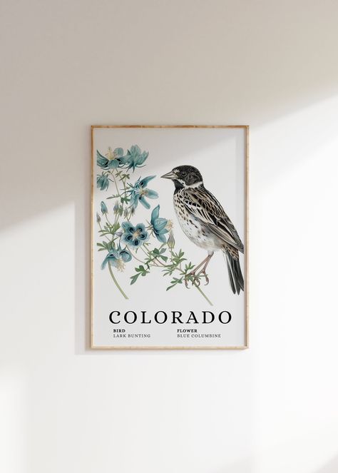 COLORADO Lark Bunting State Bird and Blue Columbine Art Print Lark Bunting Bird, Blue Columbine Flower Art, Colorado State Art, Wall Art - Etsy Canada Blue Columbine Flower, Lark Bunting, Bunting Bird, Columbine Flower, Colorado Art, Flower Line Drawings, Flower Drawings, State Birds, Budget Friendly Decor