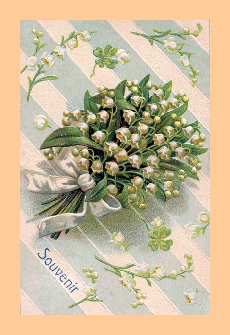 Muguets - 1Mai | Flickr - Photo Sharing! Lily Of The Valley Flowers, Valley Flowers, Backyard Flowers, Aesthetic Garden, Garden Aesthetic, Up Book, Victorian Art, Ideas Garden, Old Postcards