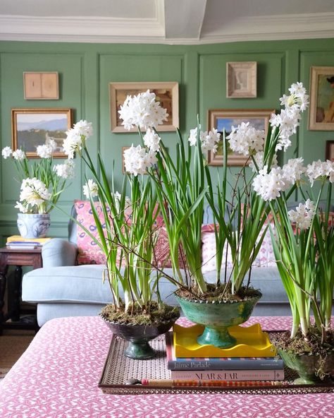 We have lift off! An explosion of paperwhites 🥰 #paperwhites #inbloom #home #breakfastroomgreen #springisintheair #vintagetextiles | Instagram Paperwhite Narcissus, Breakfast Room Green, Lift Off, Green Rooms, English Roses, Mint Color, All Flowers, Blue Walls, Vintage Textiles