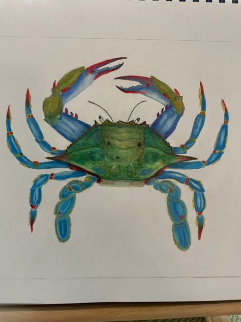 Blue Crab, Color Pencil Art, Color Pencil, Colored Pencil, Pencil Art, Drawing Inspiration, Crab, Colored Pencils, Cool Pictures