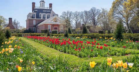 Colonial Williamsburg Foundation & Our Partnership - Harney & Sons Fine Teas Nantucket Hotels, Summer Vacation Ideas, Colonial Williamsburg Virginia, Living History Museum, Colonial Times, Williamsburg Virginia, Colonial History, Colonial America, City Vacation