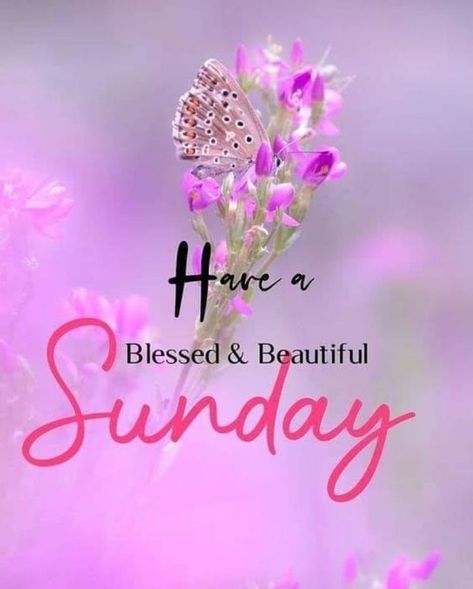 Spiritual Morning, Sunday Morning Images, Sunday Morning Wishes, Blessed Sunday Morning, Tuesday Thoughts, Sunday Thoughts, Happy Sunday Images, Good Morning Sunday Images, Happy Sunday Morning