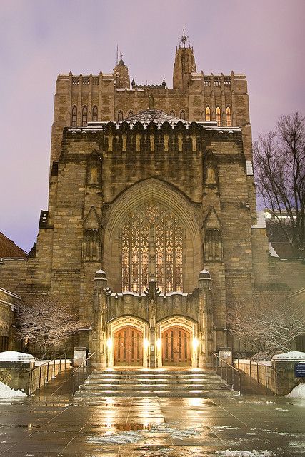 Yale University.....When I lived in New Haven, I would wander around by myself for hours. It never ceased to amaze me. New England States, Dream College, Yale University, Dream School, University Life, College Campus, University Campus, New Haven, Law School