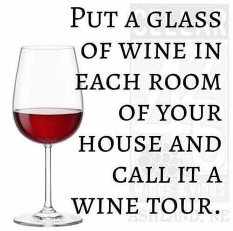 Classy Wine Quotes, Drinking Wine Humor, Champagne Quotes, Wine Jokes, Wine Meme, Wine Quotes Funny, Cheese And Crackers, Alcohol Humor, Wine Signs