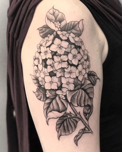 Hydrangea Tattoo Black And Grey, Hydrangea Line Tattoo, Hydrangea Tattoo Design, Hydrangea Tattoo Sleeve, Hydrangea Tattoo, Snake Tattoo Design, Up Tattoos, Sleeve Tattoos For Women, Snake Tattoo