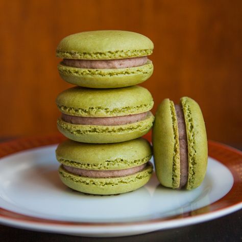 Macarons | Thirsty For Tea Guava Macarons, Green Tea Macarons, Matcha Red Bean, Tea Macarons, Coconut Milk Pudding, Tea Tips, Cranberry Tea, Macaron Recipes, English Scones