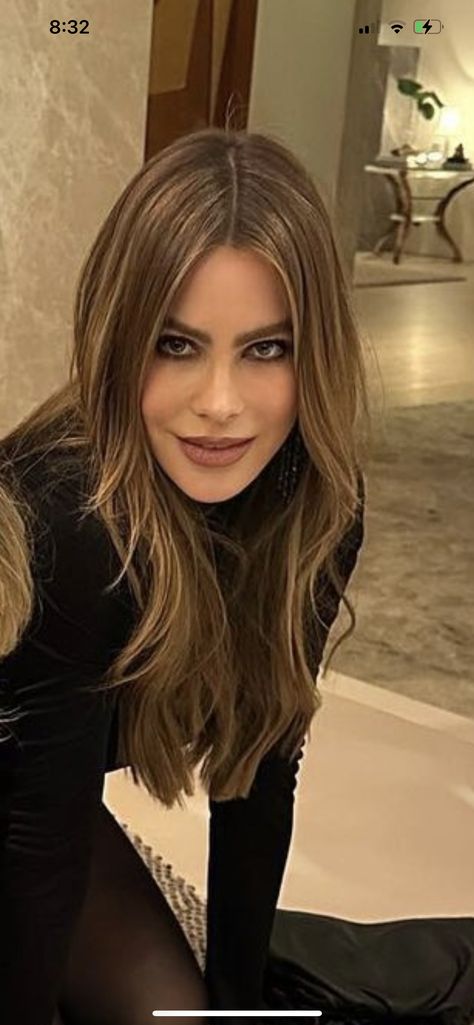 Sophia Vergara Blonde, Blonde Sofia Vergara, Sofia Vergara Highlights, Sofia Vargas Hair, Sophia Vergara Hair Color, Sofia Vergara Blonde Hair, Sophia Vergara Hair, Sofia Vergara Makeup, Sofia Vergara Blonde