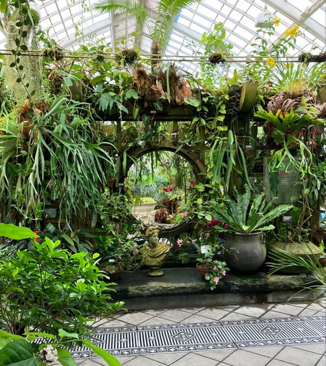 Dark Greenhouse Aesthetic, Green House Aesthetic, Greenhouse Hanging Baskets, Big Greenhouse, Greenhouse Aesthetic Bohemian, Greenhouse Full Of Flowers, Big Greenhouse Aesthetic, Conservatory Of Flowers, Plant Room