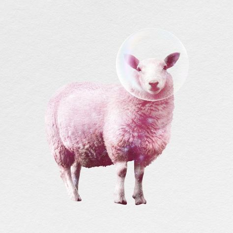 Pink sheep cut out, animal design psd | free image by rawpixel.com / Boom Sheep Illustration, Pink Sheep, Sheep Art, Animal Design, Free Image, Drawing Ideas, Sheep, Cut Out, Meat