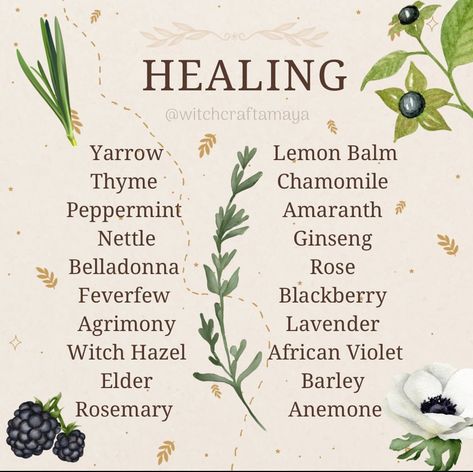 Herbs Of Virgo, Herbs Of Gemini, Protection Jars, Herb Meanings, Herbs For Healing, Witch Spells, Kitchen Witch Recipes, Herbal Education, Art Planner