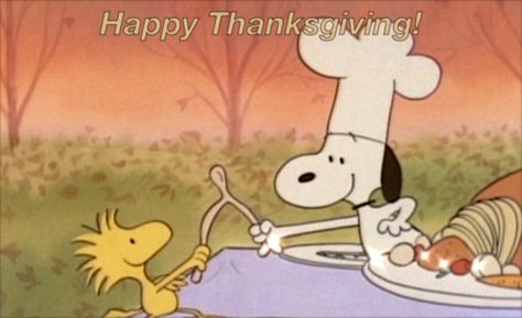 Happy Thanksgiving from the charlie brown crew! Thanksgiving Break Aesthetic, Thanksgiving Funny Pictures, Thanksgiving Mood Board, Thanksgiving Cartoon Aesthetic, Thanksgiving Pfp Matching, Thanksgiving Aesthetic Family, Happy Thanksgiving Aesthetic, Thanksgiving Matching Pfp, Thanksgiving Pfp