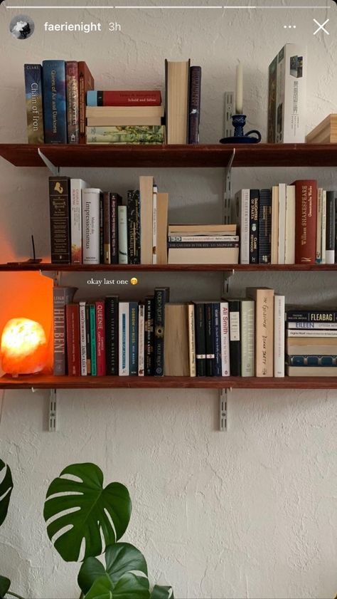 Bookshelf Bedroom Aesthetic, Shelves Aesthetic Bedroom, Eclectic Shelf Decor, Bookshelf Apartment, Book Shelves Aesthetic, Ranch Style Interior Design, Floating Bookshelf, Uni Room, Dream Apartment