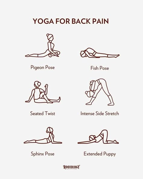 Yoga Poses For Back Pain, Yoga Poses For Back, Motivasi Diet, Morning Yoga Routine, Yoga For Back Pain, Summer Body Workouts, Daily Yoga Workout, Relaxing Yoga, Yoga Stretching