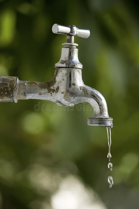 Dripping tap. Water dripping from a garden tap , #spon, #tap, #Dripping, #Water, #garden, #dripping #ad Drip Illustration, Water Dripping, Summer Gardening, Conservation Art, Water Images, Water Drip, Gardening Techniques, Running Water, Summer Garden