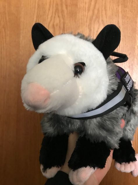 Possum Plush, Opossum Plush, Robot Dance, Emotional Support Animal, Honey Badger, Service Animal, I Cool, Emotional Support, Badge Holders