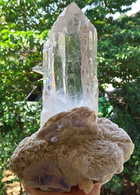 Himalayan Quartz on Muscovite & Albite. Himalayan Quartz, Beautiful Rocks, Minerals And Gemstones, Himalayan, Geology, Sea Shells, Gems, Gemstones, Crystals