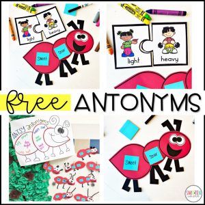 Antonym Activities, Antonyms Anchor Chart, Partitioning Shapes, Homophones Activity, Antonyms Activities, Fractions Comparing, Llama Classroom, Antonyms Worksheet, Identifying Fractions