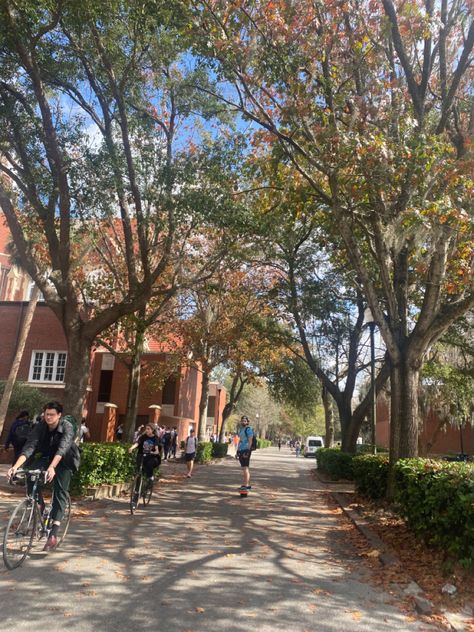 College Aestethic, College In The Mountains, Fall At College, North Central College, Uf Campus, Uvic Campus, Happy College Life, 80s College Aesthetic, Vermont College Aesthetic