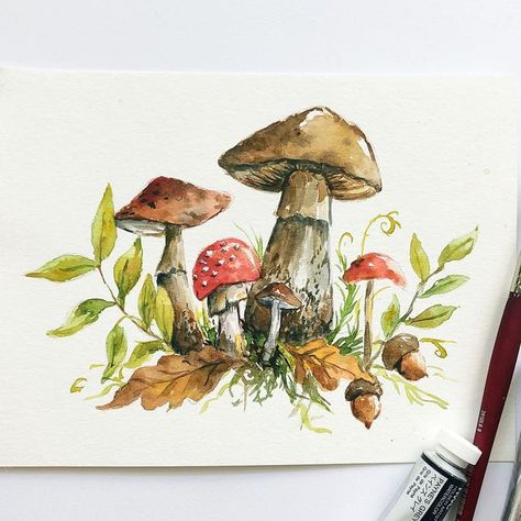 Mushrooms Forest, Forest Fall, Fungi Art, Mushroom Paint, Fall Drawings, Octopus Wall Art, Fall Stuff, Watercolor Journal, Watercolor Projects