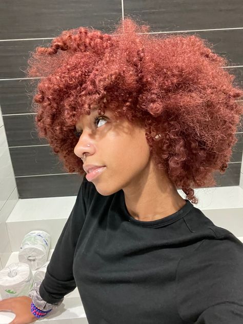 Afro Hair Dye, Dyed Curly Hair, Red Curly Hair, Dyed Hair Inspiration, Colored Curly Hair, Dyed Natural Hair, Protective Hairstyles Braids, Natural Curls Hairstyles, Pretty Hair Color