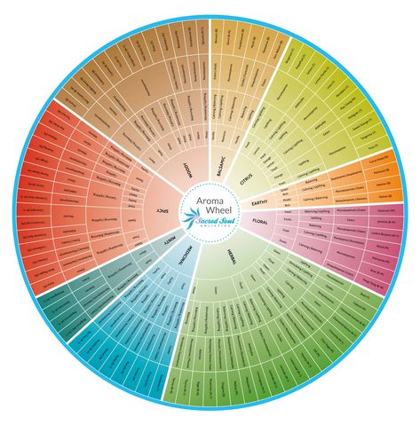 Fragrance Wheel, Fragrance Quotes, Fragrance Logo, Aesthetic Fragrance, Emotions And Essential Oils, Fragrance Aesthetic, Fragrance Illustration, Fragrance Quote, Fragrance Display