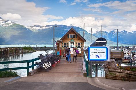 Haines Alaska, North To Alaska, Alaska Highway, Alaska Trip, Cruise 2023, Writing Portfolio, Camping Stuff, Alaskan Cruise, Alaska Cruise