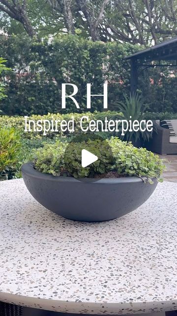 Ivette Kettel | Organic Modern Home Decor on Instagram: "Wanted to create a RH inspired centerpiece for our outdoor dining table. This one came out so beautiful and it’s the perfect statement piece that creates a dramatic impact. RH is known to use  oversized decor objects so keep this in mind to use a really large bowl planter. This one I used is 17” in diameter you it could be bigger. I also used low creeping plants that resembles moss to complete the look. 

Follow my shop @Kettelhomedecor on the @shop.LTK app to shop this post and get my exclusive app-only content!
https://liketk.it/4D8CN
.
.
.
.
#rh #restorationhardware #designerlook #outdoordesign #outsoordecor #outdoors #centerpieces #outdoordiy #outdoorcenterpiece #diycenterpiece #outdoorstyling #outdoorliving #outdoorlife" Outdoors Centerpieces, Oversized Decor, Large Bowl Planters, Organic Modern Home Decor, Creeping Plants, Restoration Hardware Outdoor, Organic Modern Home, Decor Objects, Bowl Planter