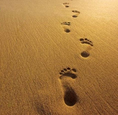 ¿Qué es el Evangelio en mi vida? Haz clic en la imagen y lee el artículo. Sand Footprints, Survival Cache, Sand Wallpaper, Sand Pictures, Low Sodium Recipes Blood Pressure, Blood Pressure Symptoms, Footprints In The Sand, Church Images, Blood Pressure Control