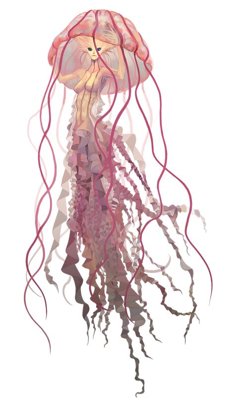 A collection of jellyfish mermaids I've found all over the Internet - Album on Imgur Jellyfish Illustration, Jellyfish Drawing, Jellyfish Painting, Mermaid Drawings, 흑백 그림, Fantasy Creatures Art, Mythical Creatures Art, Creature Concept Art, Mermaid Art