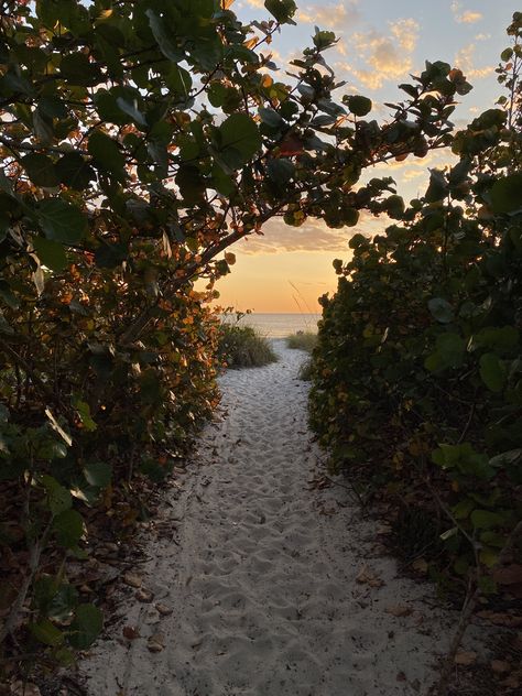 naples, fl beach at sunset Naples Florida Aesthetic, Felicity Core, Naples Beach Florida, Beach Dump, America House, Florida Aesthetic, Summer Abroad, Fl Beaches, Naples Beach