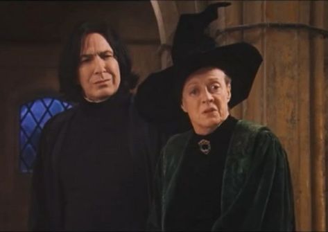 Snape Funny, Severus Snape Lily Evans, Hogwarts Professors, Minerva Mcgonagall, Snape And Lily, Harry Potter Severus, Harry Potter Severus Snape, Severus Rogue, Snape Harry Potter