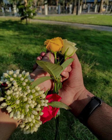 Hand Portrait, Girls Pick, Blue Sky Photography, Cute Photo Poses, Cool Pokemon Wallpapers, Self Pictures, Rose Plant, Beautiful Flowers Photography, Plant Tattoo