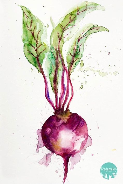 Watercolour Food, Watercolor Food Illustration, Vegetable Painting, Vegetable Illustration, Watercolor Food, Watercolor Paintings For Beginners, Watercolour Inspiration, Watercolor Projects, Watercolor Paintings Easy