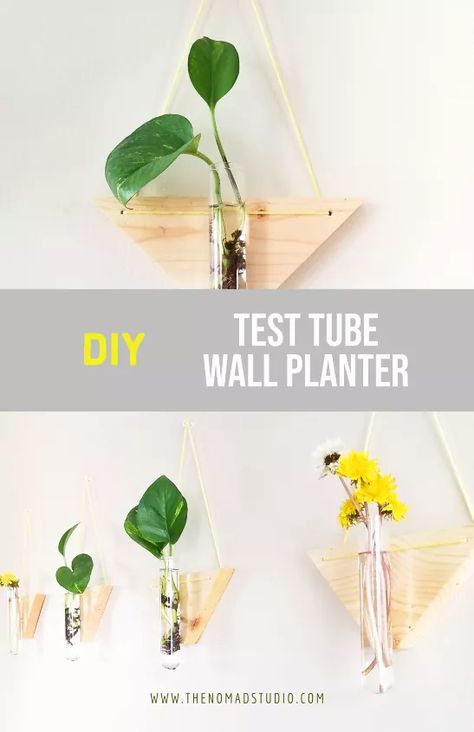 Test Tube Wall Planter | Hometalk Test Tube Planter, Tube Planter, Using Scrap Wood, Diy Wall Planter, Diy Hanging Planter, Dry Wall, Drilling Holes, Diy Planters, Wall Planter