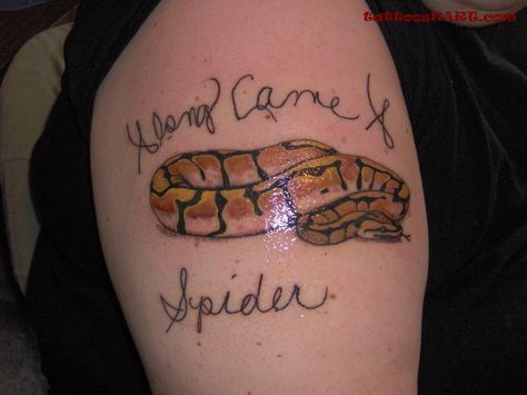 Ball python Python Snake Tattoo, Flower Tattoo For Arm, Spider Ball Python, Ball Python Snake, Royal Python, Along Came A Spider, Indian Tattoo Design, Simple Flower Tattoo, Ray Tattoo