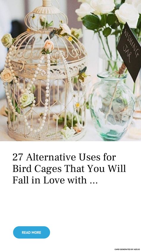 Vintage Bird Cage Decor, Bird Cage Candle, Diy Bird Cage, Antique Bird Cages, Hanging Bird Cage, Plant Succulents, Lantern Ideas, Bird Cage Decor, Boutique Display