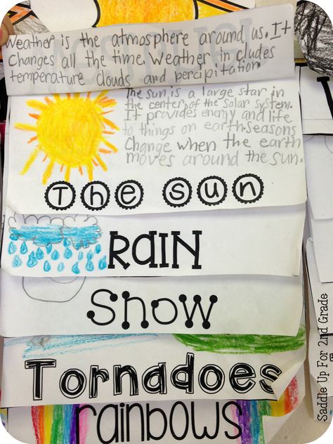 Weather Unit Study, Teaching Weather, Weather Lessons, Weather Worksheets, Second Grade Science, Weather Science, Weather Theme, Weather Unit, 1st Grade Science