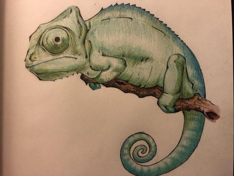 Drawing Of Chameleon, Drawings Of Reptiles, Chameleon Drawing Realistic, How To Draw A Chameleon, Camelions Drawing, Chameleon Drawing Easy, Drawing Chameleon, Chameleon Sketch, Chameleon Drawing