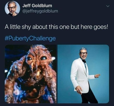 Jeff Goldblum took on the Puberty Challenge and won 🤣 @jeffreygoldblum #jeffgoldblum #pubertychallenge #thefly #grandmaster #ianmalcolm #whatadude #funny #funnystuff #ninjamitton Jeff Goldblum Meme, Jeff Goldblum, Memes Of The Day, Funny Fails, Best Memes, Popular Memes, Funny Cute, Dankest Memes, Funny Texts