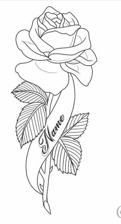 Tattoo Designs Drawings Sketches Ideas Easy, Rose Tattoo Stencils, Rose Tattoo Stencil Outline, Tattoo Ideas Female Stencil, Tattoo Outline Drawing Stencil Design, Rose Outline Drawing, Tattoo Outline Drawing Stencil Ideas, Small Tattoos Minimalist, Tree Frog Tattoos